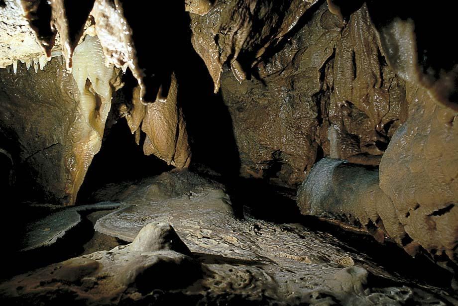 Hotel Haus Recke Balve المظهر الخارجي الصورة